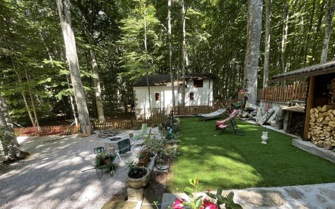 Apartmán Chalet I Folletti Abbadia San Salvator Exteriér fotografie