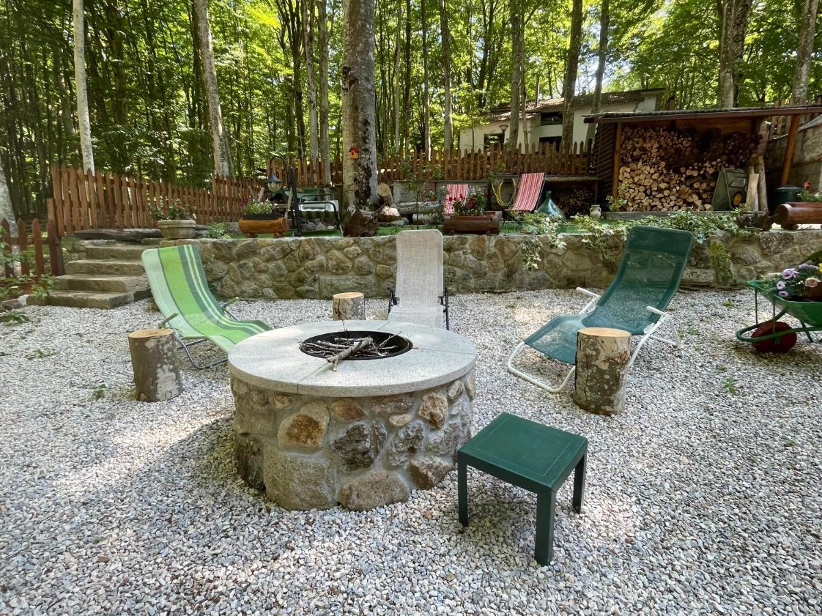 Apartmán Chalet I Folletti Abbadia San Salvator Exteriér fotografie